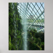 Singapore Cloud Forest Waterval Botanische Poster (Voorkant)