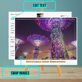 Singapore Gardens by the Bay bij Night Modern Briefkaart