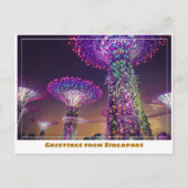 Singapore Gardens by the Bay bij Night Modern Briefkaart (Voorkant)