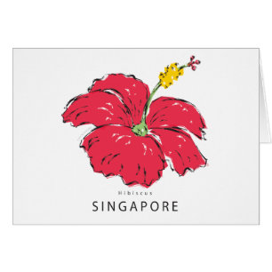 SINGAPORE HIBISCUS COLLECTIE