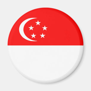 Singapore land vlag natie symbool magneet