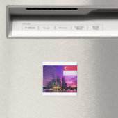 Singapore Magneet (Insitu (Vaatwasser))