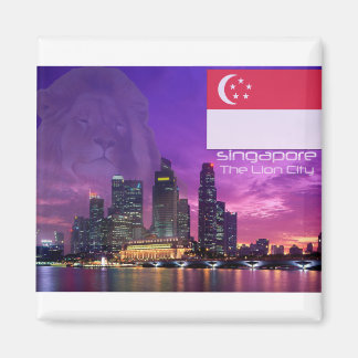 Singapore Magneet
