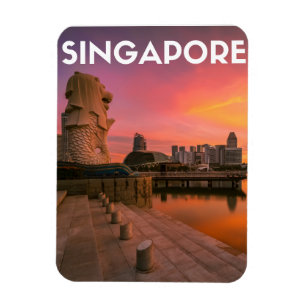 Singapore Magneet