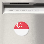 singapore magneet (Insitu (Vaatwasser))