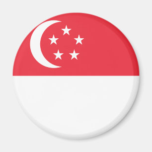 singapore magneet