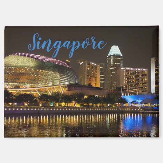 Singapore Magnet Souvenir Cadeau (Voorkant)