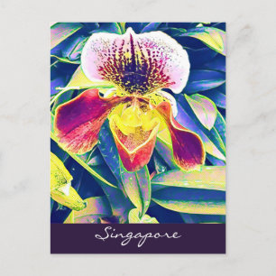 Singapore Orchid reist Zuidoost-Azië Briefkaart
