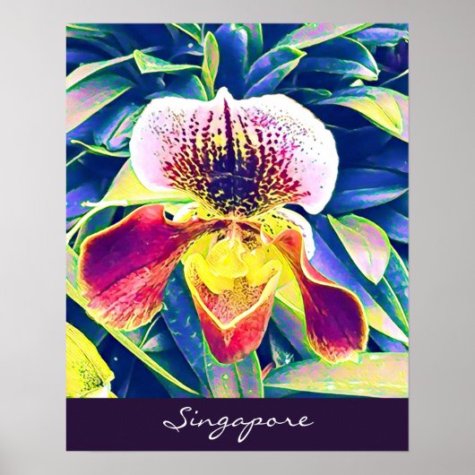 Singapore Orchid reist Zuidoost-Azië Poster (Voorkant)