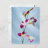 Singapore orchidebloemen briefkaart (Voorkant / Achterkant)