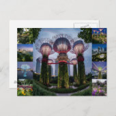 Singapore reizen Super bomen. Briefkaart (Voorkant / Achterkant)