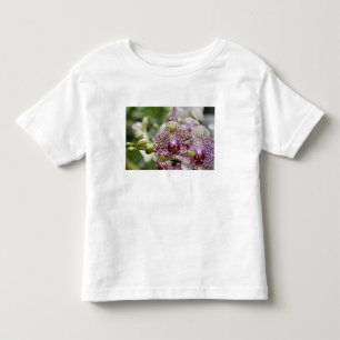 Singapore (Sanskriet voor Leeuwenstad). Nationaal Kinder Shirts