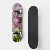 Singapore (Sanskriet voor Lion City). Nationaal Skateboard (Voorkant)