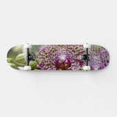 Singapore (Sanskriet voor Lion City). Nationaal Skateboard (Horizontaal)