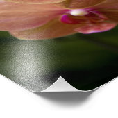 Singapore Sanskrit voor Lion City). Nationaal 2 Foto Afdruk (Hoek)