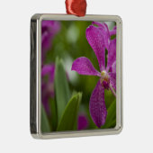 Singapore Sanskrit voor Lion City). Nationaal Metalen Ornament (Rechts)