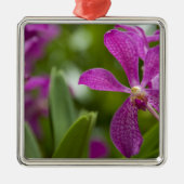 Singapore Sanskrit voor Lion City). Nationaal Metalen Ornament (Voorkant)