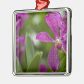 Singapore Sanskrit voor Lion City). Nationaal Metalen Ornament (Links)