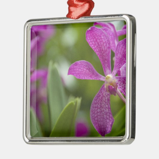 Singapore Sanskrit voor Lion City). Nationaal Metalen Ornament (Links)