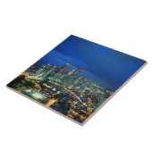 Singapore Skyline 's nachts, Singapore Tegeltje (Zijkant)