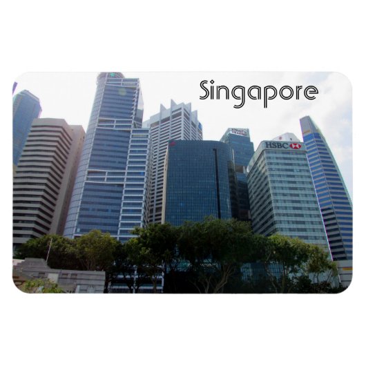 singapore stad magneet (Horizontaal)