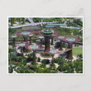 singapore superbomen briefkaart