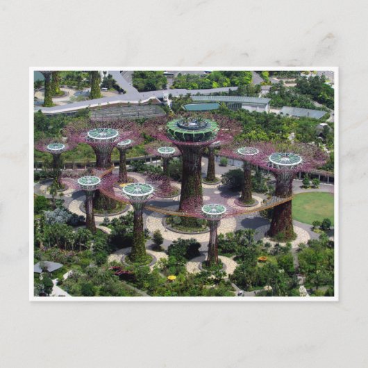 singapore superbomen briefkaart (Voorkant)