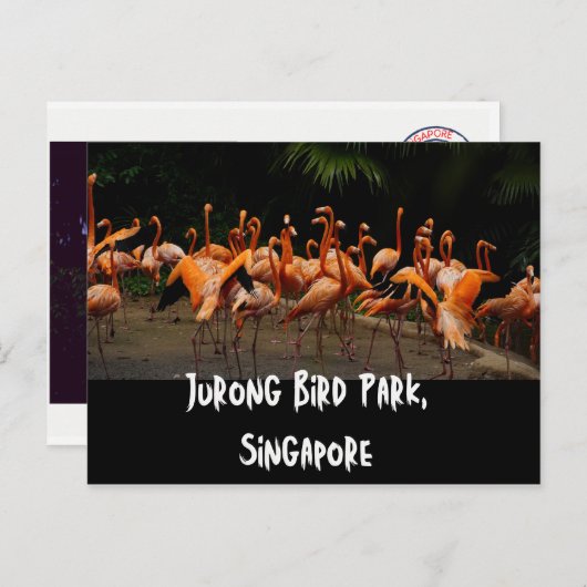 Singapore Travel Briefkaart (Voorkant / Achterkant)