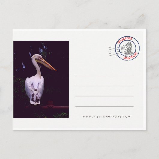Singapore Travel Briefkaart (Achterkant)