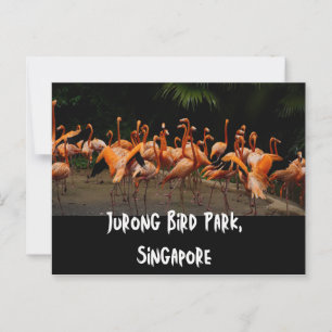Singapore Travel Briefkaart