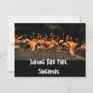 Singapore Travel Briefkaart
