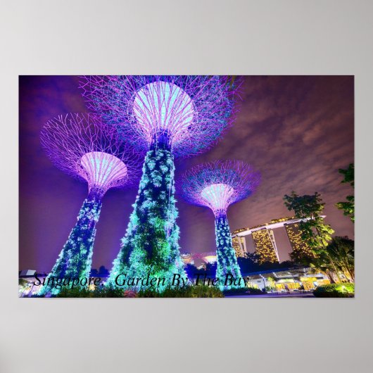 Singapore, tuin van de baai poster (Voorkant)