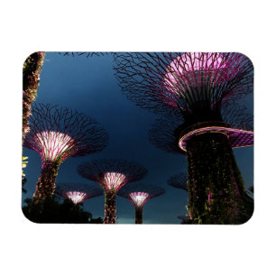 Singapore tuinen van de baai #1 Magnet Magneet