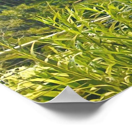 Singapore tuinen van de baai poster (Hoek)