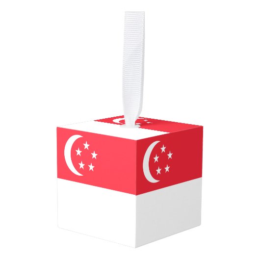 Singapore vlag decoratie (Voorkant hoekig)