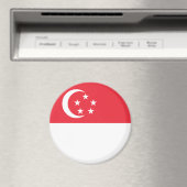 Singapore-vlag Magneet (Insitu (Vaatwasser))