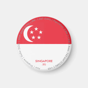 Singapore Vlagmagneet Magneet