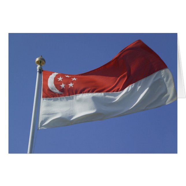 Singaporese vlag (Voorkant Horizontaal)