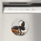 Singer in the Making: Gedekte Mergansers Magneet (Insitu (Vaatwasser))