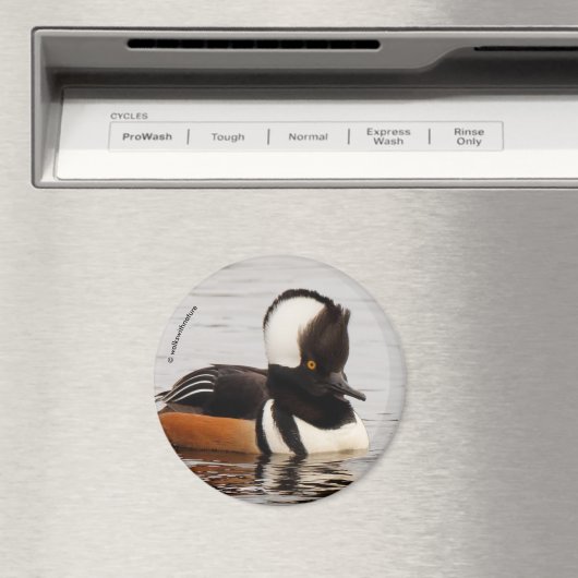 Singer in the Making: Gedekte Mergansers Magneet (Insitu (Vaatwasser))