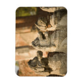 Singhat Wat Thammikarat Magneet (Verticaal)