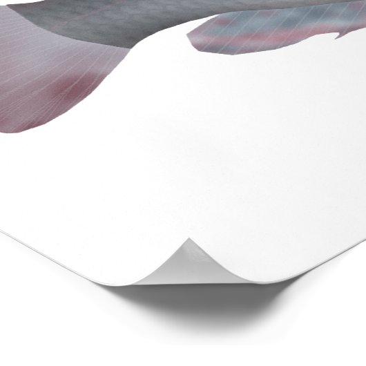 Singida Tilapia Poster (Hoek)