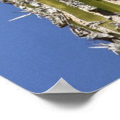 Singing Cactus Wren Poster (Hoek)