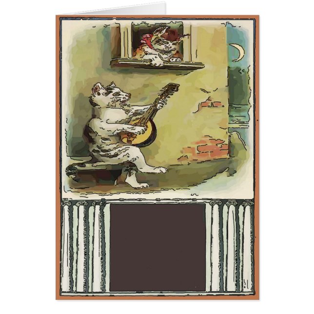 Singing Cat (Voorkant)