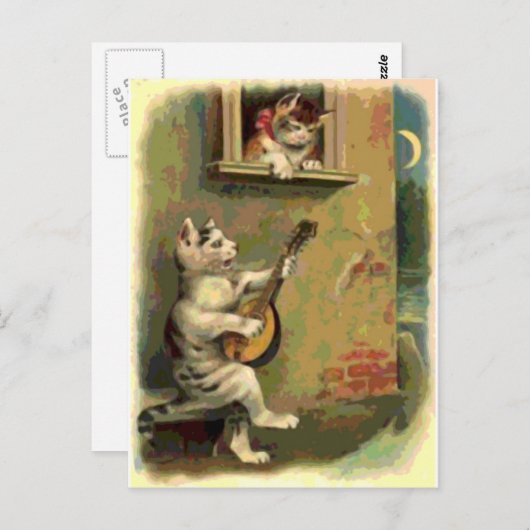 Singing Cat,  stijl Briefkaart (Voorkant / Achterkant)