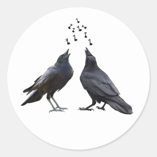 Singing Crows Stickers (Voorkant)