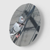 Singing Pigeon Grote Klok (Hoek)