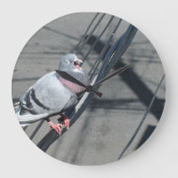 Singing Pigeon