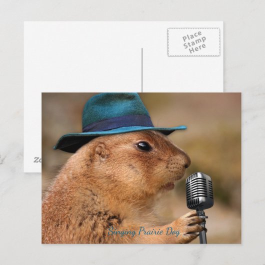 Singing Prairie Dog Briefkaart (Voorkant / Achterkant)