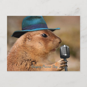 Singing Prairie Dog Briefkaart